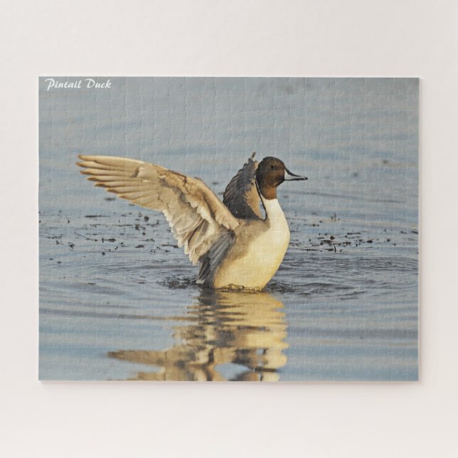 Puzzle Pintail Duck (Horizontal)
