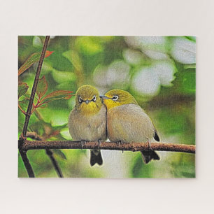 Puzzle Pintando aves amorosas