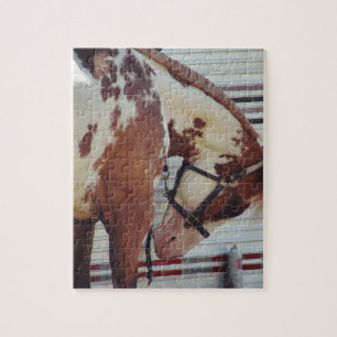 Puzzle Pinto