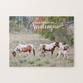 Puzzle Pinto y pintar los ponis salvajes de Assateague
