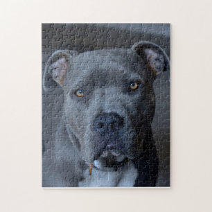 Puzzle Pintor de Pitbull