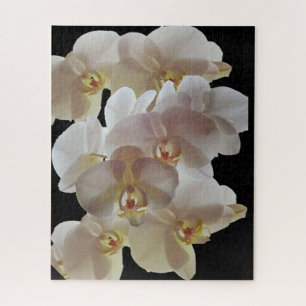 Puzzle Pintor ORQUIDO BLANCO