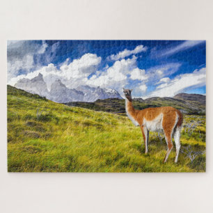 Puzzle Pintor Patagonia