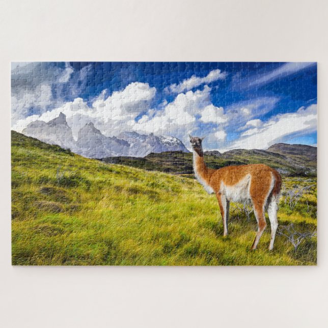 Puzzle Pintor Patagonia (Horizontal)