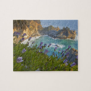 Puzzle Pintoresca McWay Falls cae en la playa y