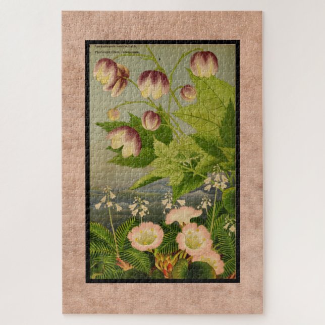 Puzzle Pintura botánica vintage de flores australianas (Vertical)