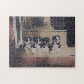 Puzzle Pintura de aceite de lija de collie pippy en el bo