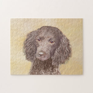Puzzle Pintura de American Water Spaniel - Arte Original