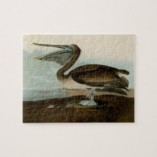 Puzzle Pintura de arte pelicano John James Audubon Brown