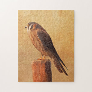 Puzzle Pintura de cernícalo estadounidense - Arte de pája
