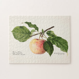 Puzzle Pintura de color de agua de frutas de Apple (Malus