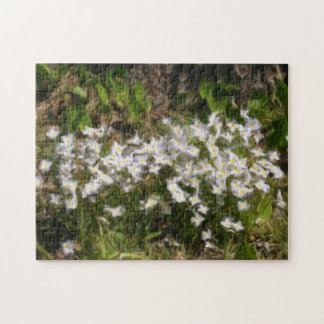 Puzzle Pintura de foto de aceite de flores azules brillan