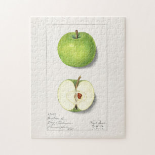 Puzzle Pintura de frutas de manzanas verdes (Malus Domest