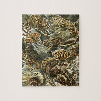 Puzzle Pintura de Iguana con barba de Haeckel Lizard