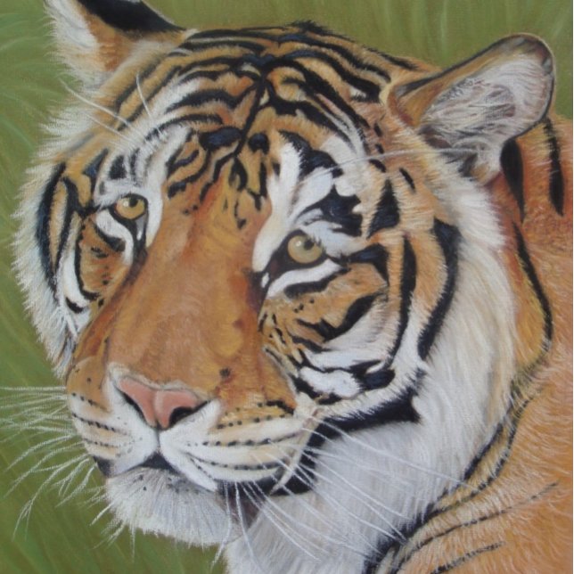 Puzzle pintura de la vida salvaje de tigre con ojos trist (Subido por el creador)