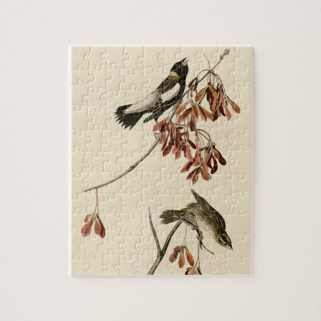 Puzzle Pintura de pájaro clásico Audubon Bobolink (Vertical)