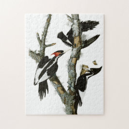 Puzzle Pintura de pájaro de carpintero de marfil de auduó