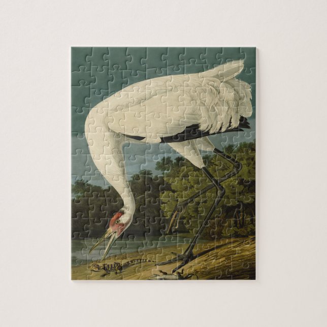 Puzzle Pintura de pájaro de Crane Audubon (Vertical)