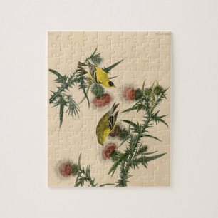 Puzzle Pintura de pájaro de la vieja auduónica americana 