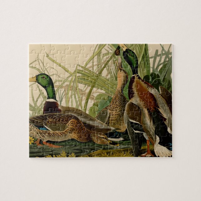Puzzle Pintura de pájaro de Mallard Duck Audubon (Horizontal)