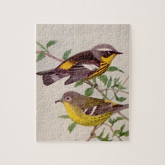 Puzzle Pintura Magnolia Warbler de Louis Agassiz Fuentes (Vertical)