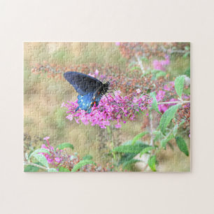 Puzzle Pipevine Swallowtail en Buddleja
