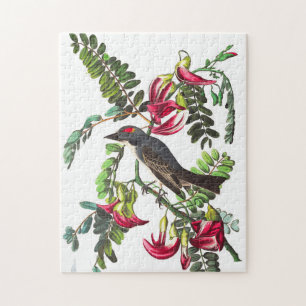 Puzzle Piping Flycatcher by John James Audubon