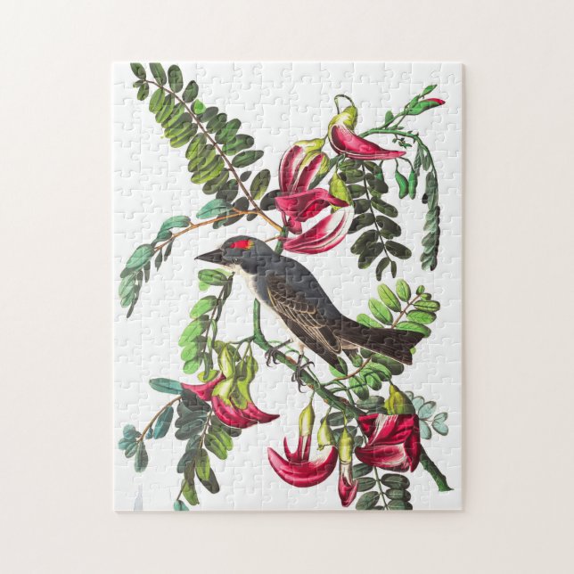 Puzzle Piping Flycatcher by John James Audubon (Vertical)