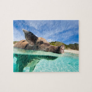 Puzzle Piscina de Exuma