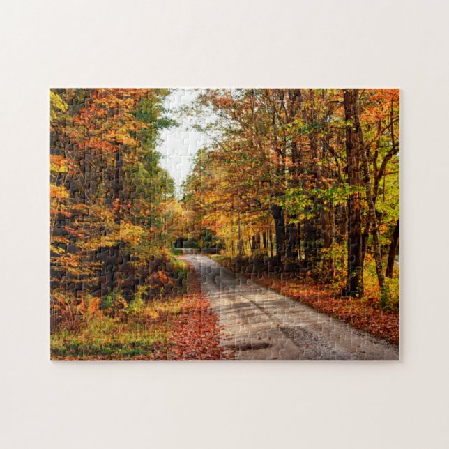 Puzzle Pista de madera con follaje de otoño (Horizontal)