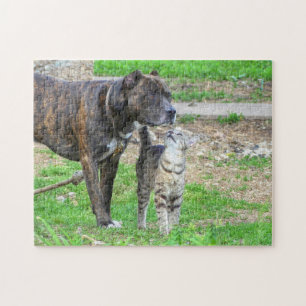 Puzzle Pit Bull y Cat