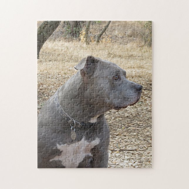 Puzzle Pitbull de la nariz azul (Vertical)