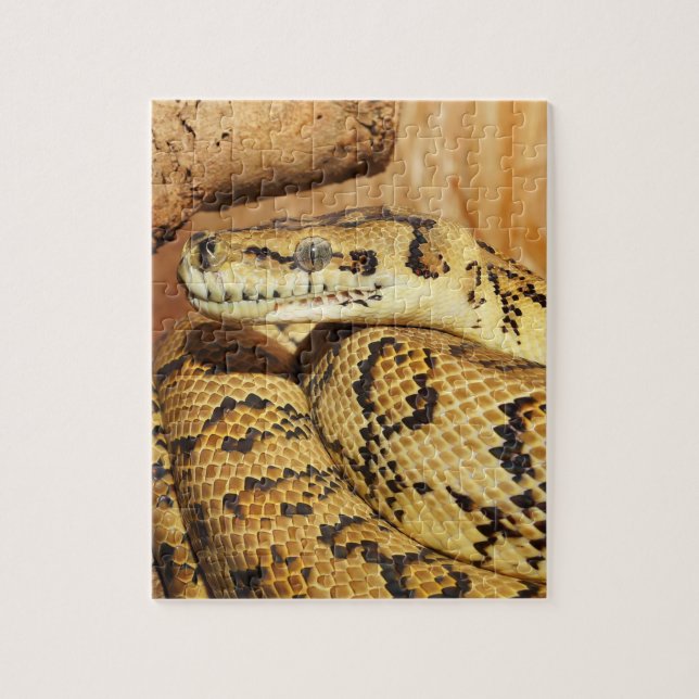 Puzzle pitón serpiente (Vertical)