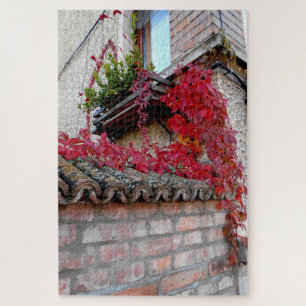 Puzzle Planta corriente roja y la ventana