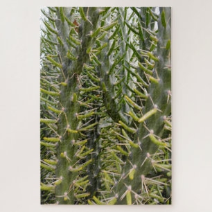 Puzzle Planta de Cactus de Pragas Verdes,