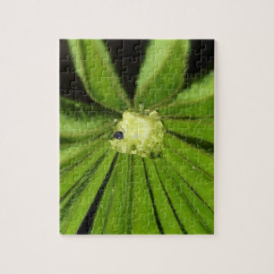Puzzle Planta de palma para bebés por Shirley Taylor