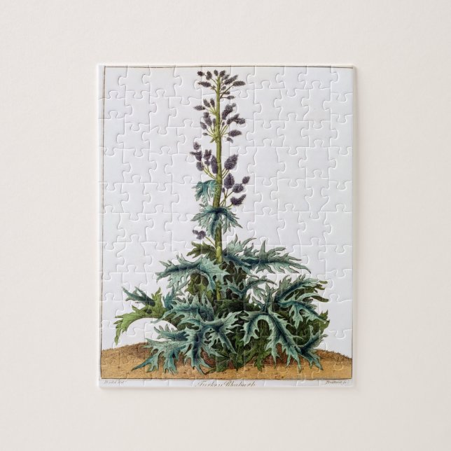 Puzzle Planta de ruibarbo de Turquía (Vertical)