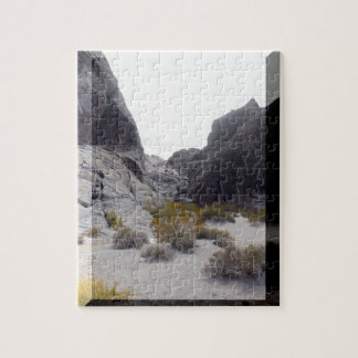 Puzzle planta desértica