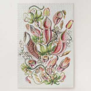 Puzzle Planta jarra botánica vintage de Ernst Haeckel