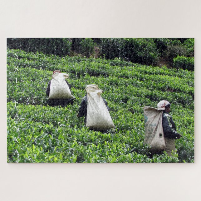 Puzzle plantación de té en funcionamiento (Horizontal)
