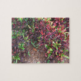 Puzzle Plantas