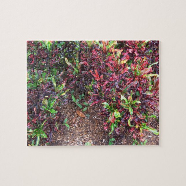 Puzzle Plantas (Horizontal)