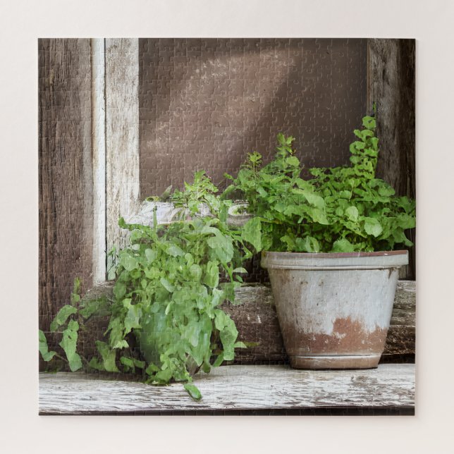 Puzzle Plantas de bonito en una ventana rústica (Vertical)
