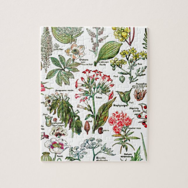 Puzzle Plantas de gran tamaño, fruta, flores naturales ar (Vertical)