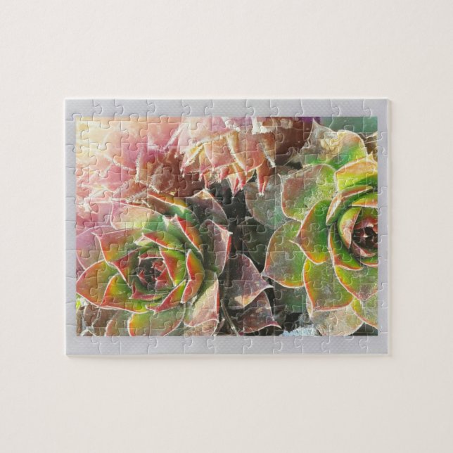 Puzzle Plantas de Hen y Chick (Horizontal)