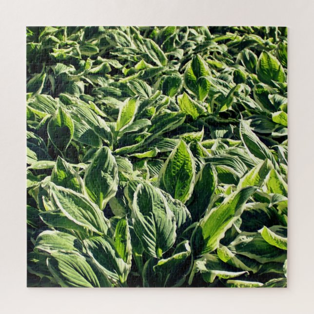 Puzzle Plantas de Hosta Blanco Verde Jardín Resumen Artís (Vertical)