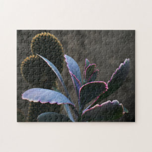 Puzzle Plantas del desierto
