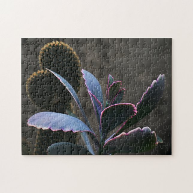 Puzzle Plantas del desierto (Horizontal)