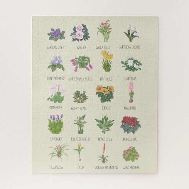 Puzzle Plantas interiores + nombres de planta de jardiner (Vertical)