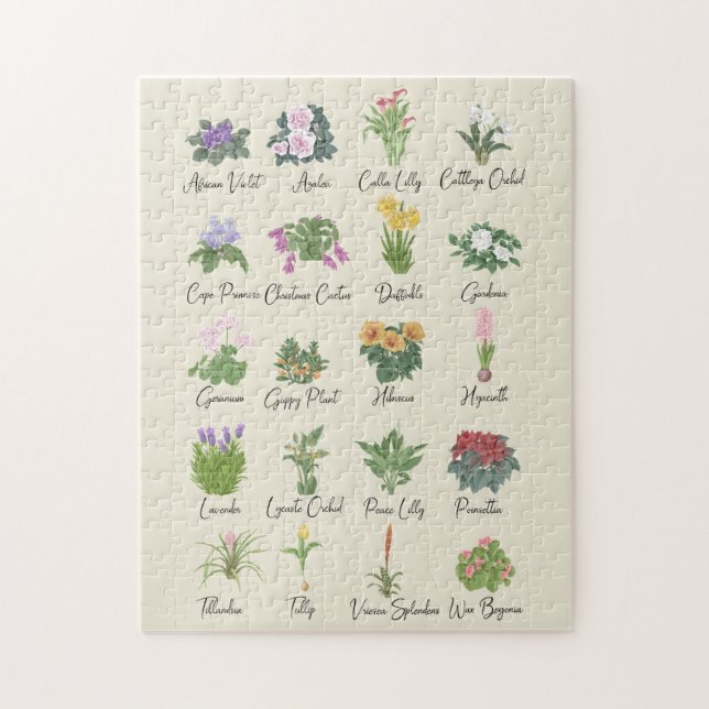 Puzzle Plantas interiores y sus nombres - Regalo de los a (Vertical)